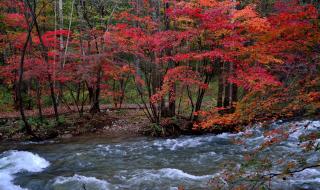 又见山里红